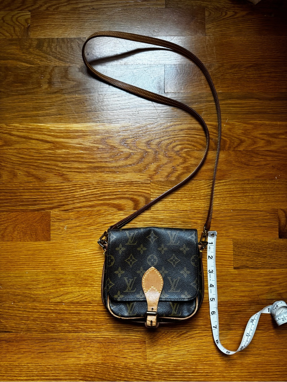 Louis Vuitton Monogram Cartouchiere PM Crossbody
